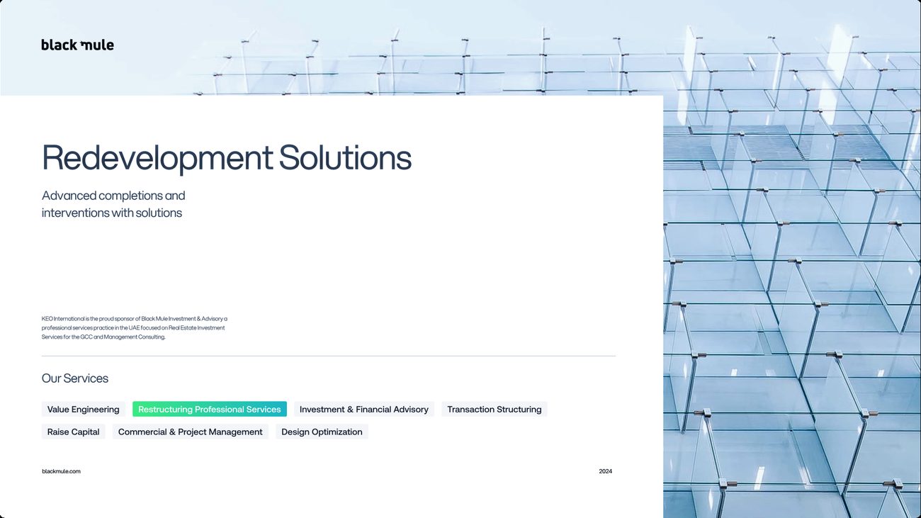 Black Mule Concept 03, services page