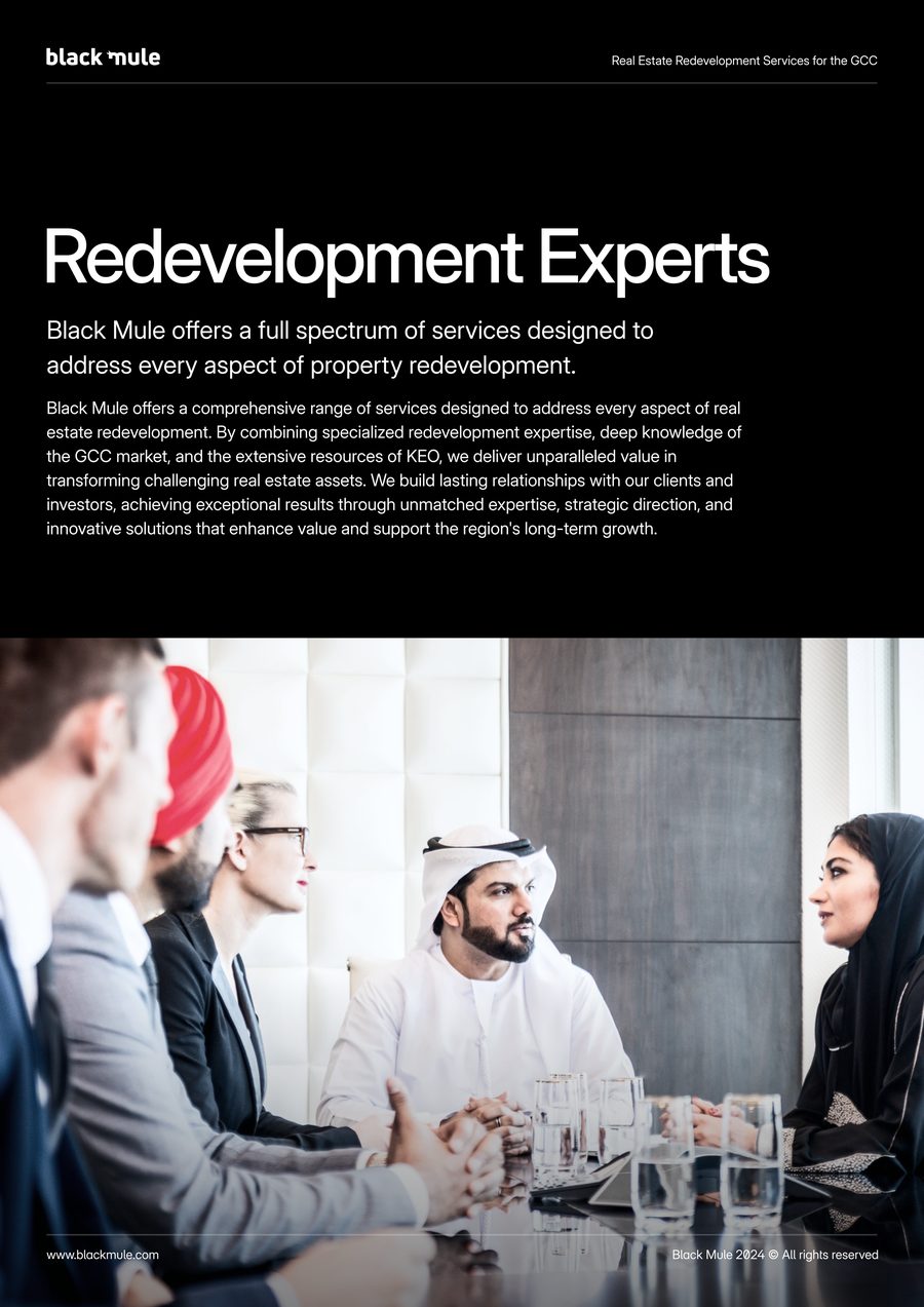 Black Mule capability statement, redevelopment experts