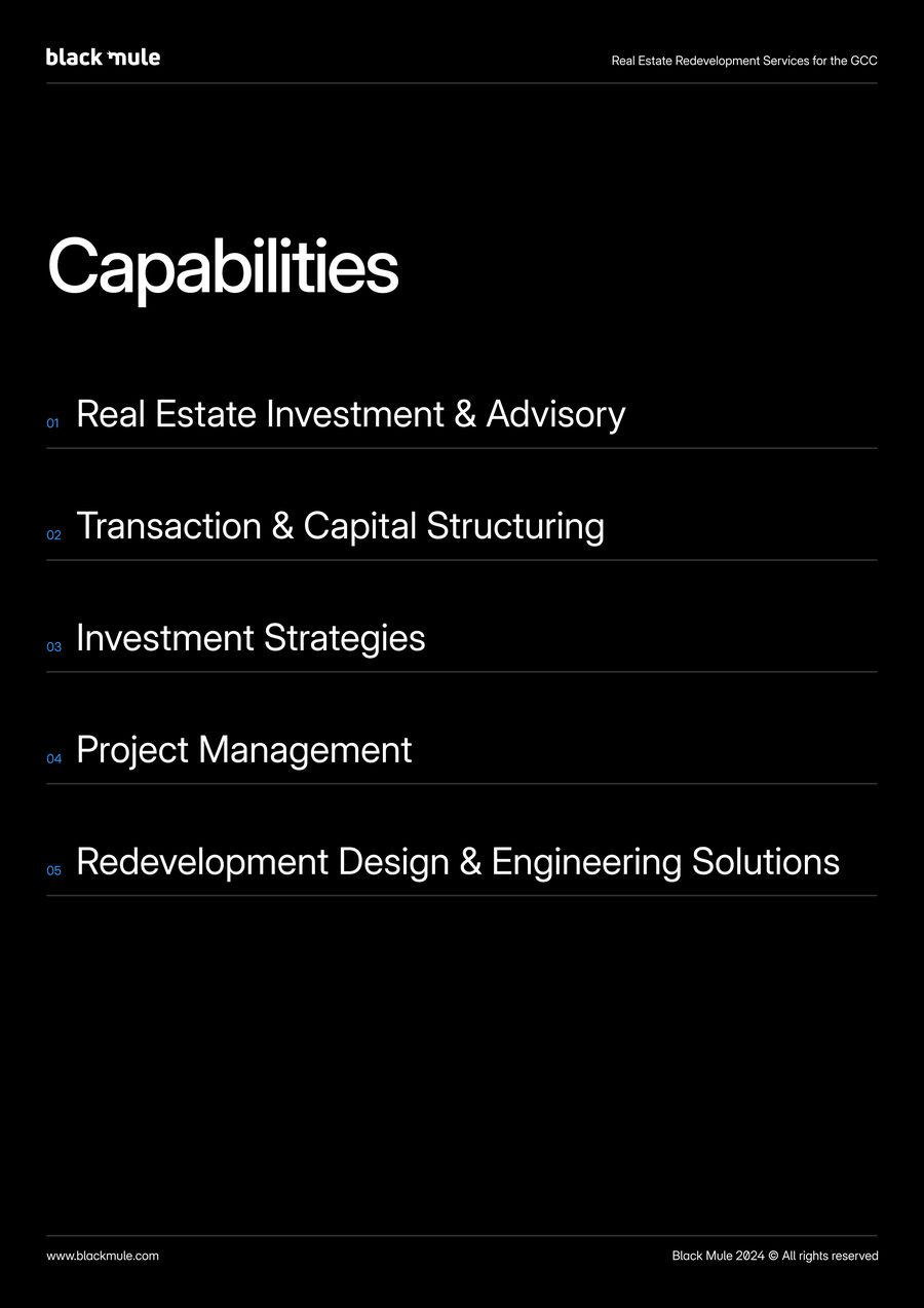 Black Mule capability statement, capabilities