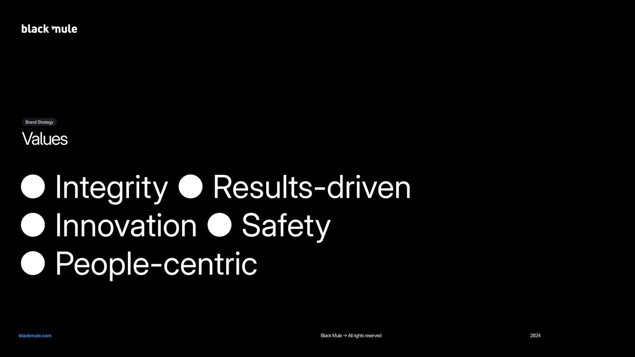 Black Mule brand guidelines, values