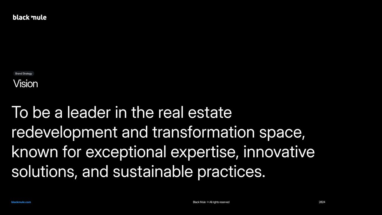 Black Mule brand guidelines, vision