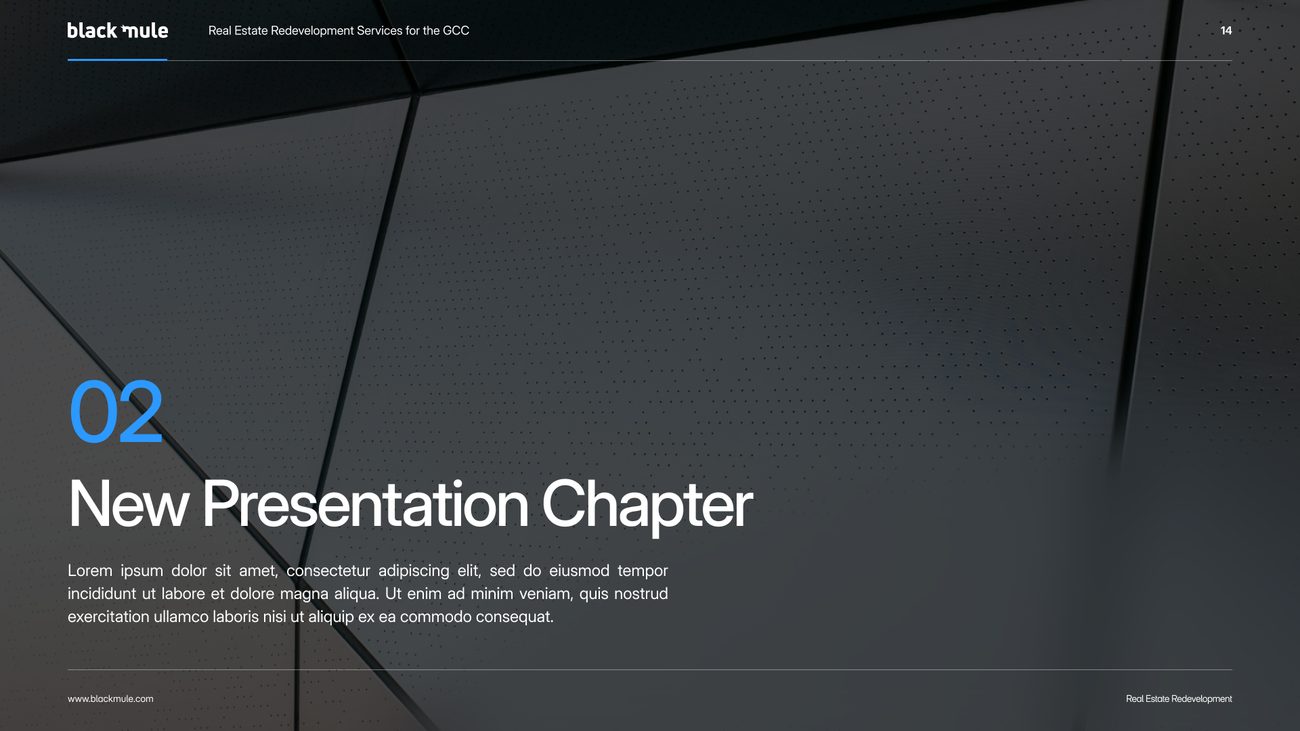 Black Mule presentation template, chapter opener