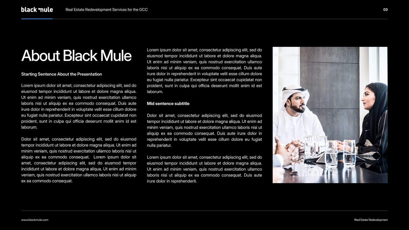 Black Mule presentation template, about