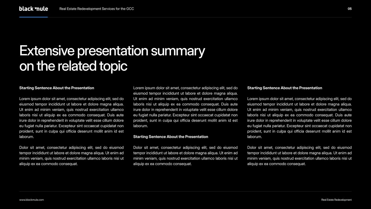 Black Mule presentation template, summary