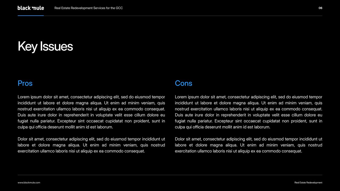 Black Mule presentation template, key issues