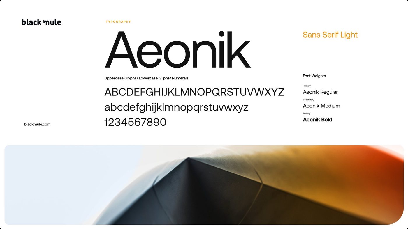 Black Mule secondary typography, Aeonik
