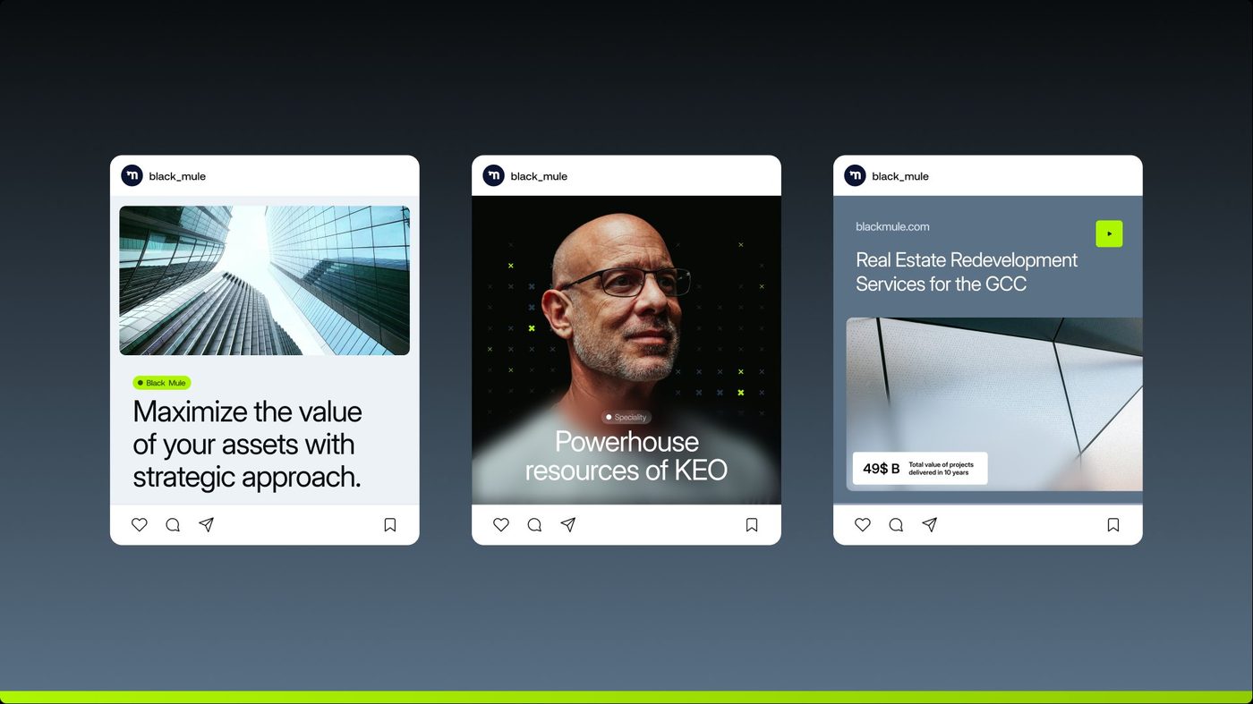 Black Mule social content, primary palette