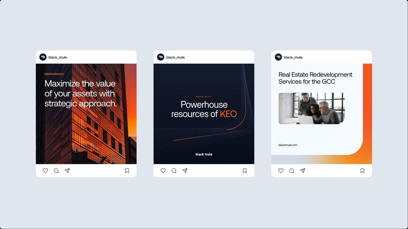 Black Mule social content, amber palette