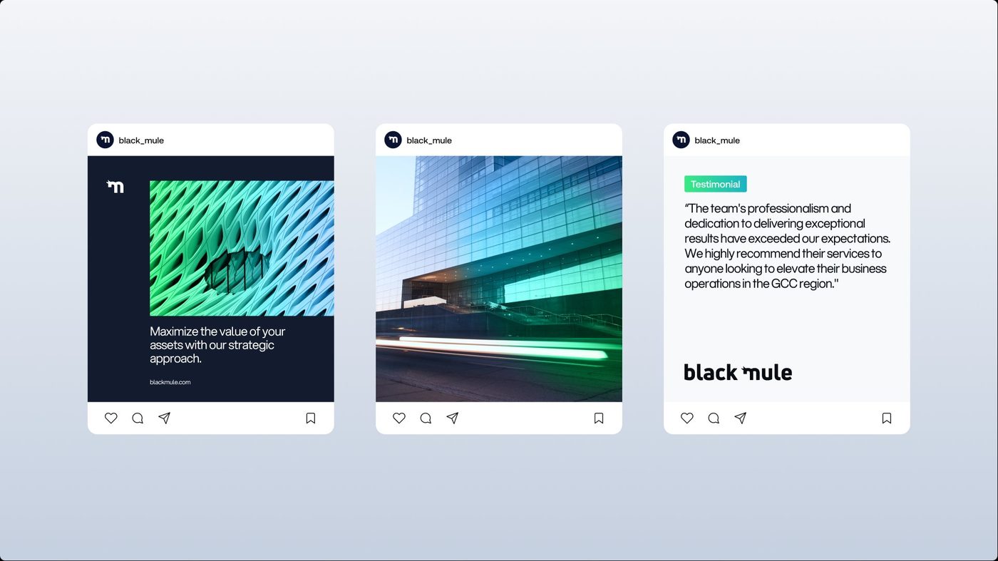 Black Mule social content, application mix
