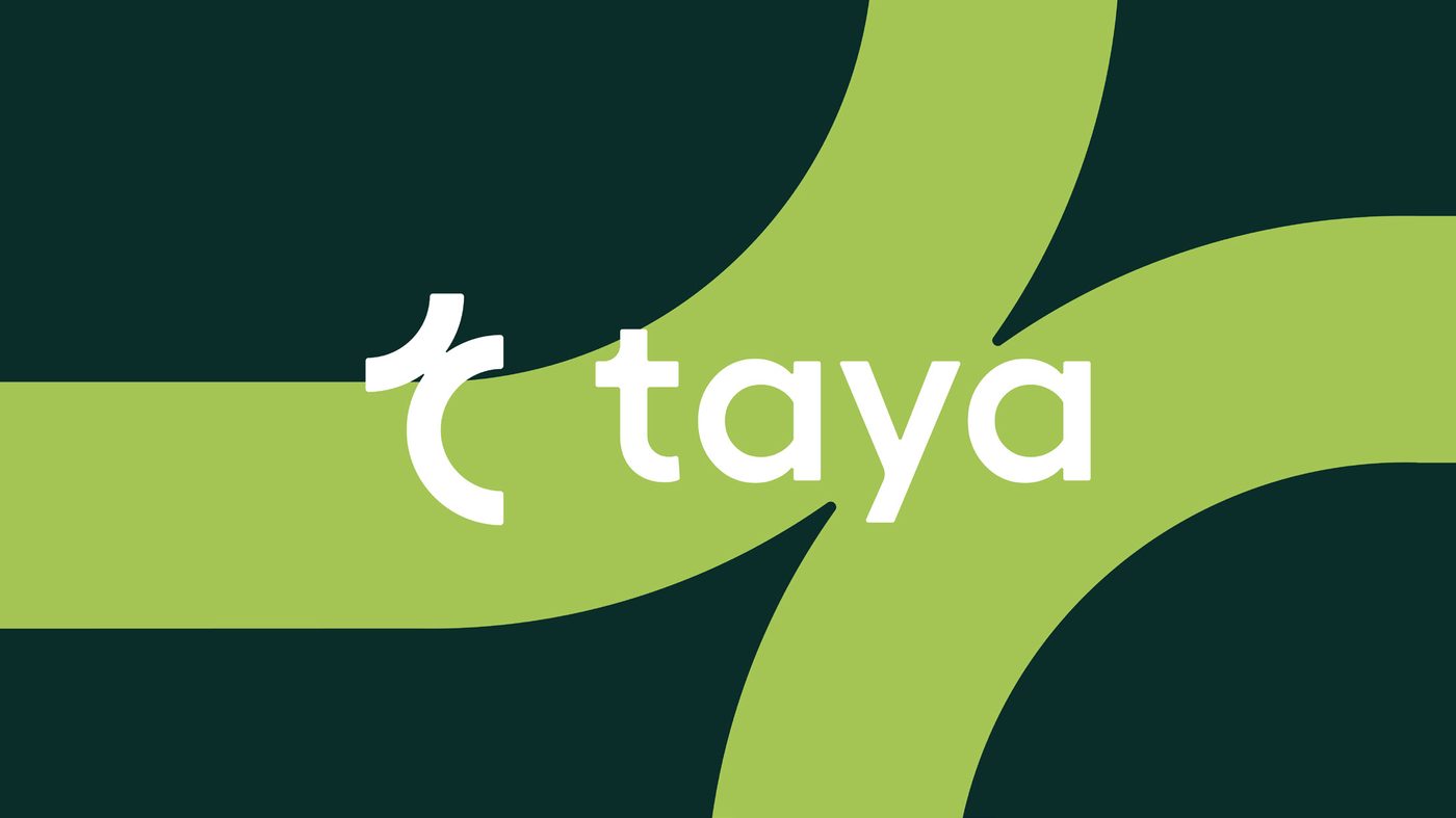 Final brand reveal on signature ribbon pattern.