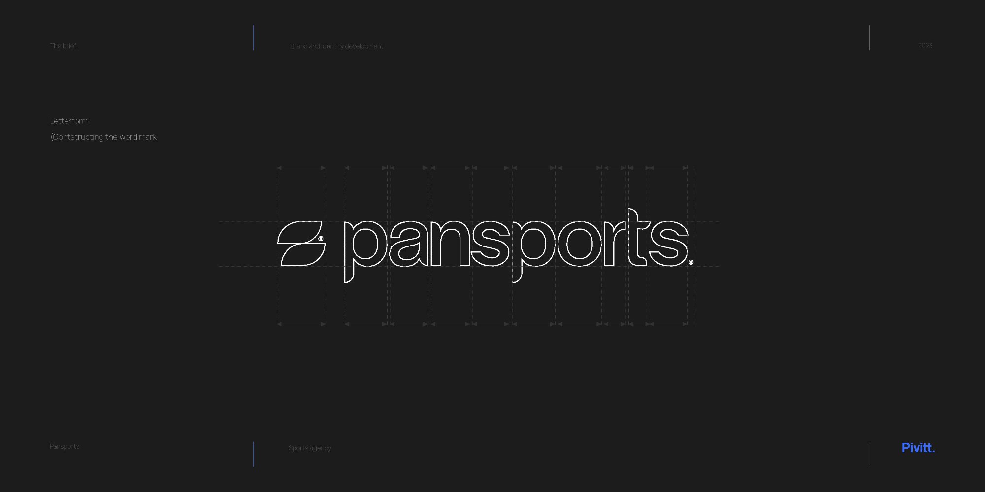 Pansports logo — final mark on brand colour