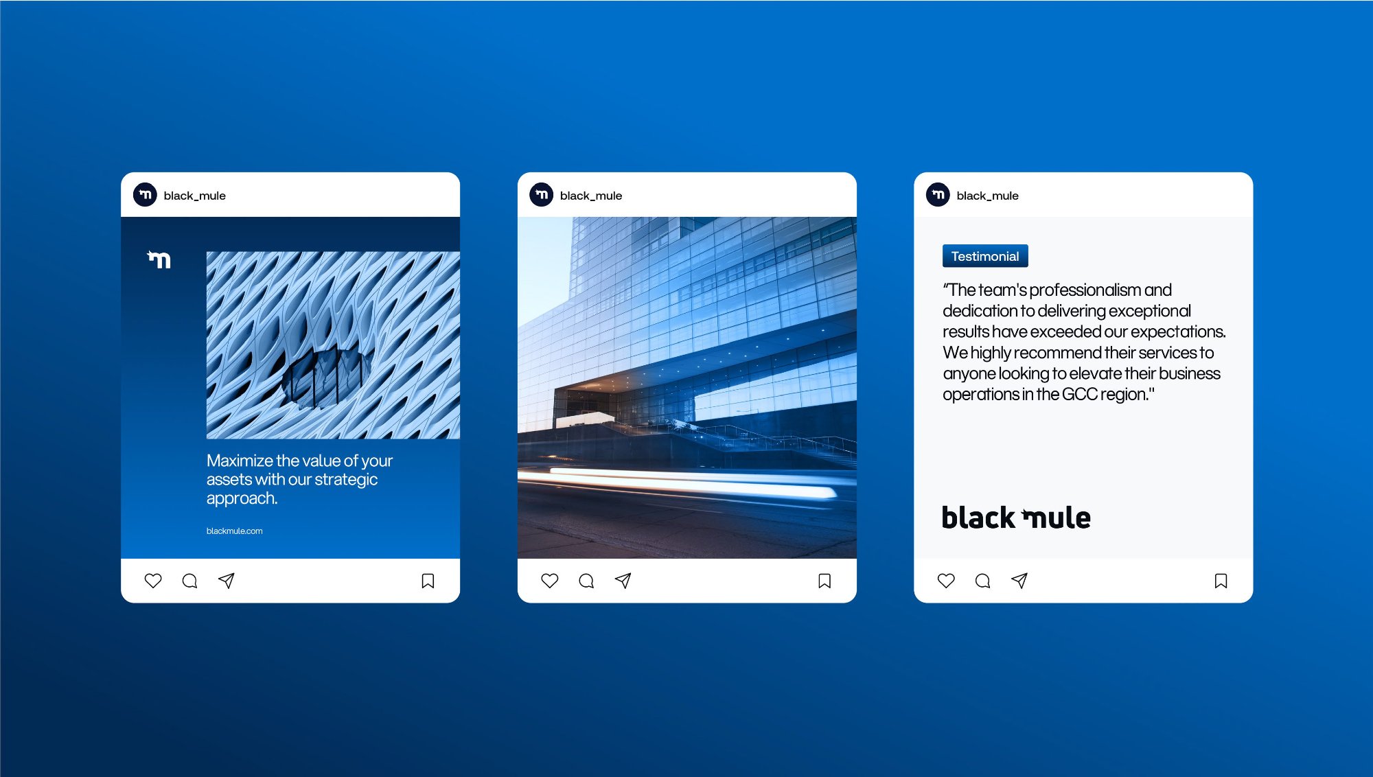 Black Mule social media